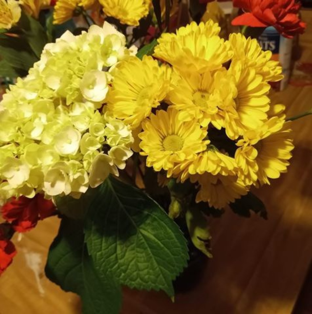 Meet your Posher, Prophetic